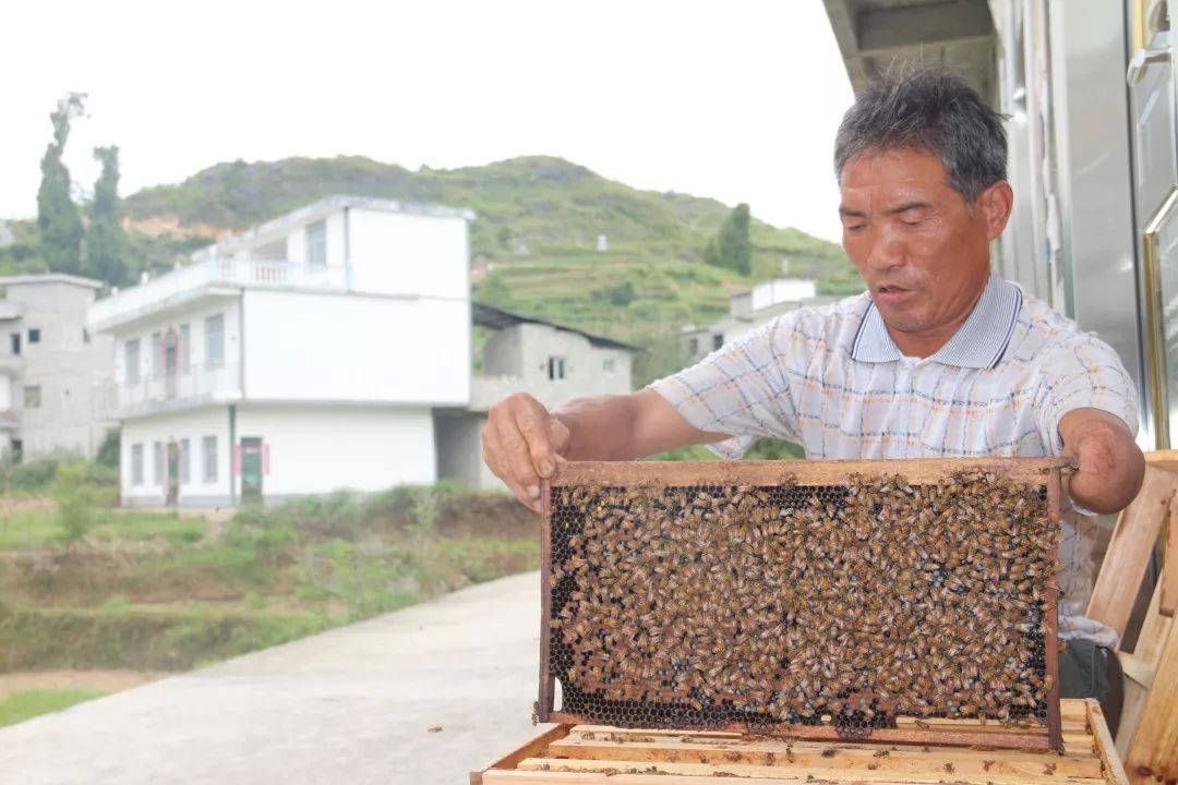 【”脱贫路上，因为有你”系列人物专题报道之九】杜明高：独臂闯出人生路